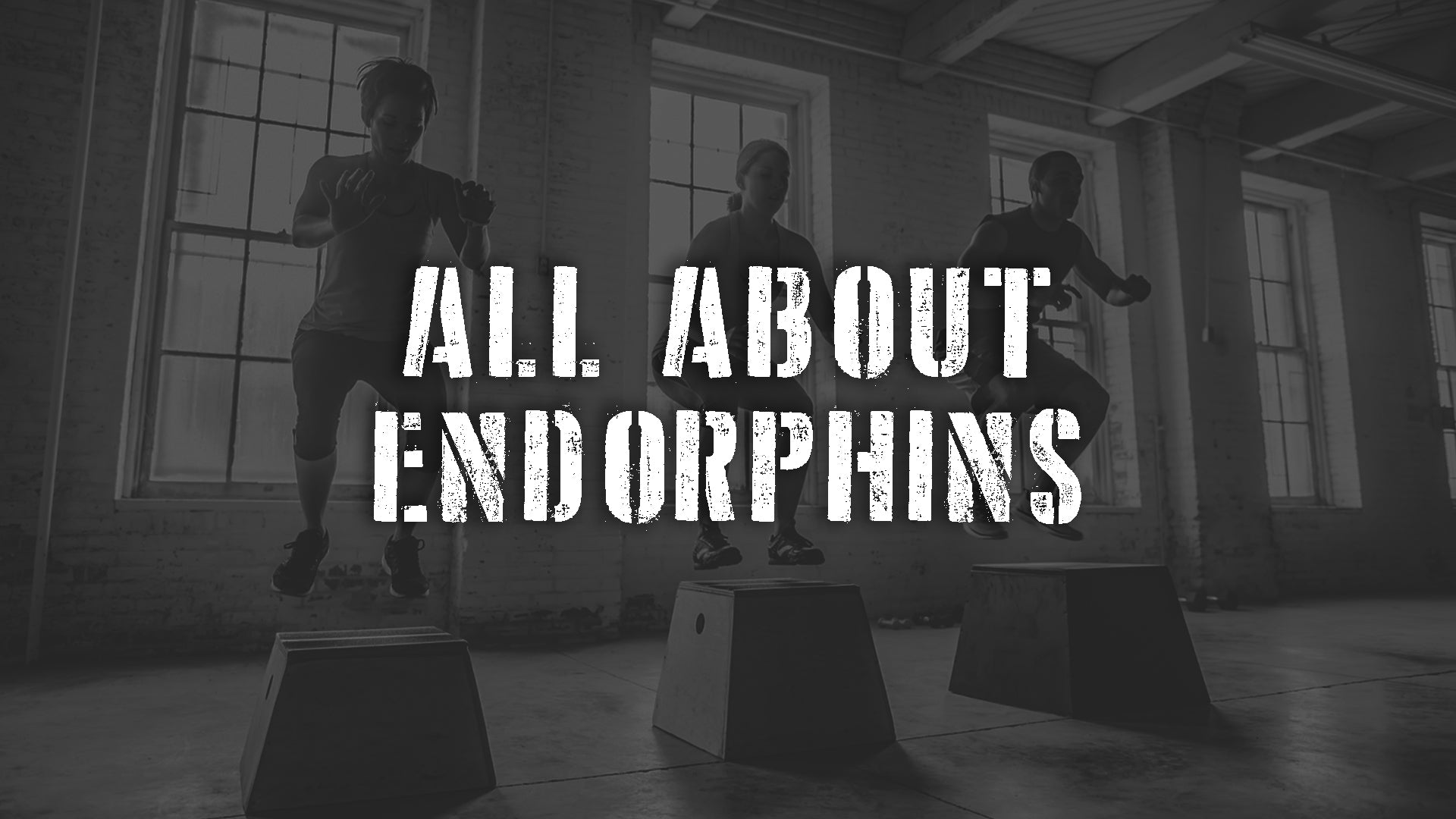 All About Endorphins