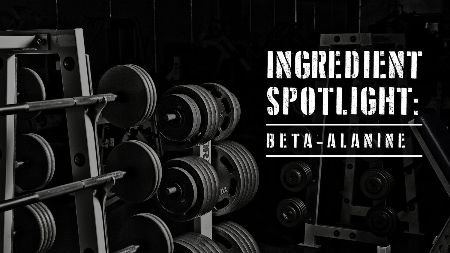 Ingredient Spotlight: Beta-Alanine