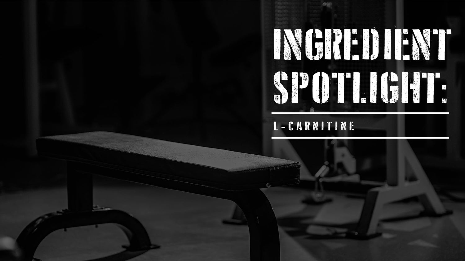 Ingredient Spotlight: L-Carnitine