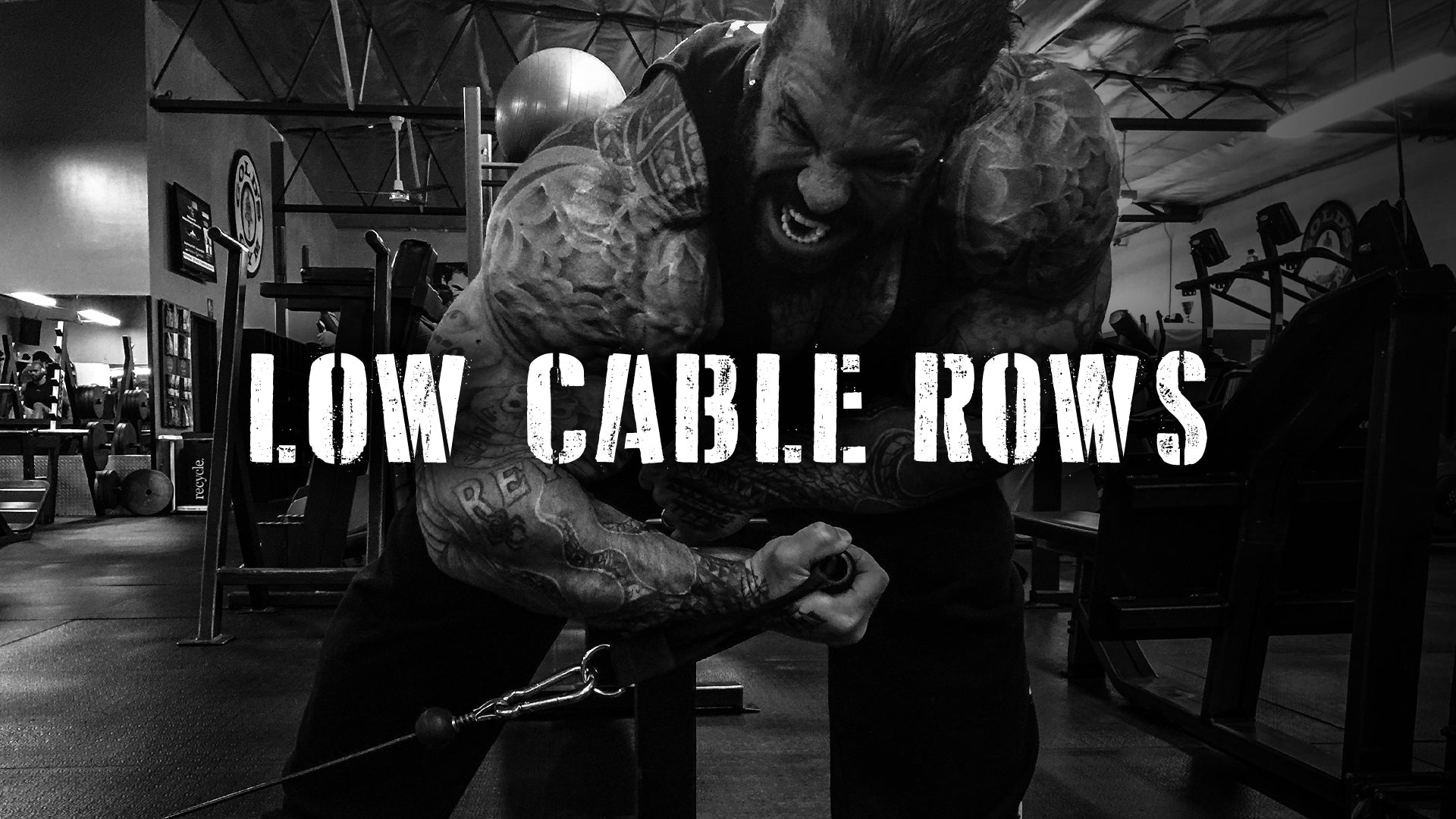 Low Cable Rows - One Of Rich’s Favorites!