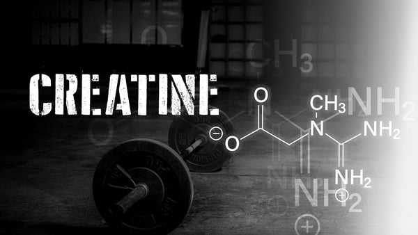 Why Your Pre-Workout Should Contain Creatine - 5% Nutrition